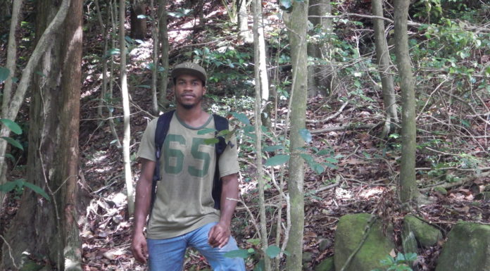 Introducing Tavis: DoE Environment Worker