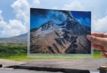 Report on Dominica’s Mountain Chicken Frog team’s exchange trip to Montserrat