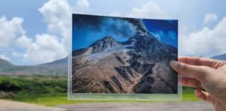 Report on Dominica’s Mountain Chicken Frog team’s exchange trip to Montserrat