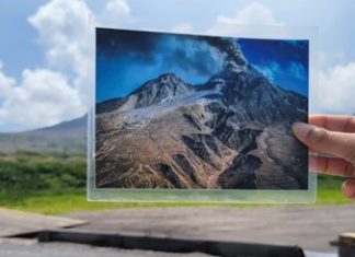 Report on Dominica’s Mountain Chicken Frog team’s exchange trip to Montserrat