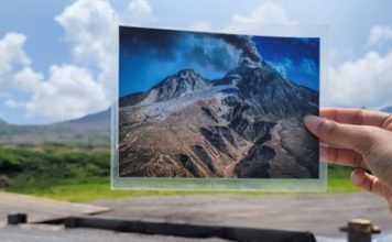 Report on Dominica’s Mountain Chicken Frog team’s exchange trip to Montserrat